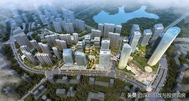 龍崗最新資訊，學(xué)習(xí)變革，自信成就未來之路