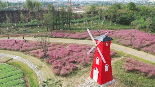 鄂州動態(tài),鄂州動態(tài)?