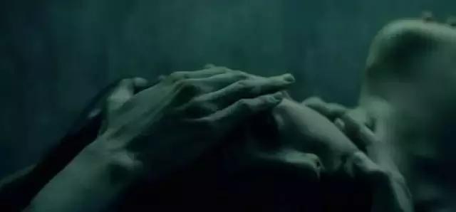 打蟲(chóng)子的電影，自然美景中的探索之旅