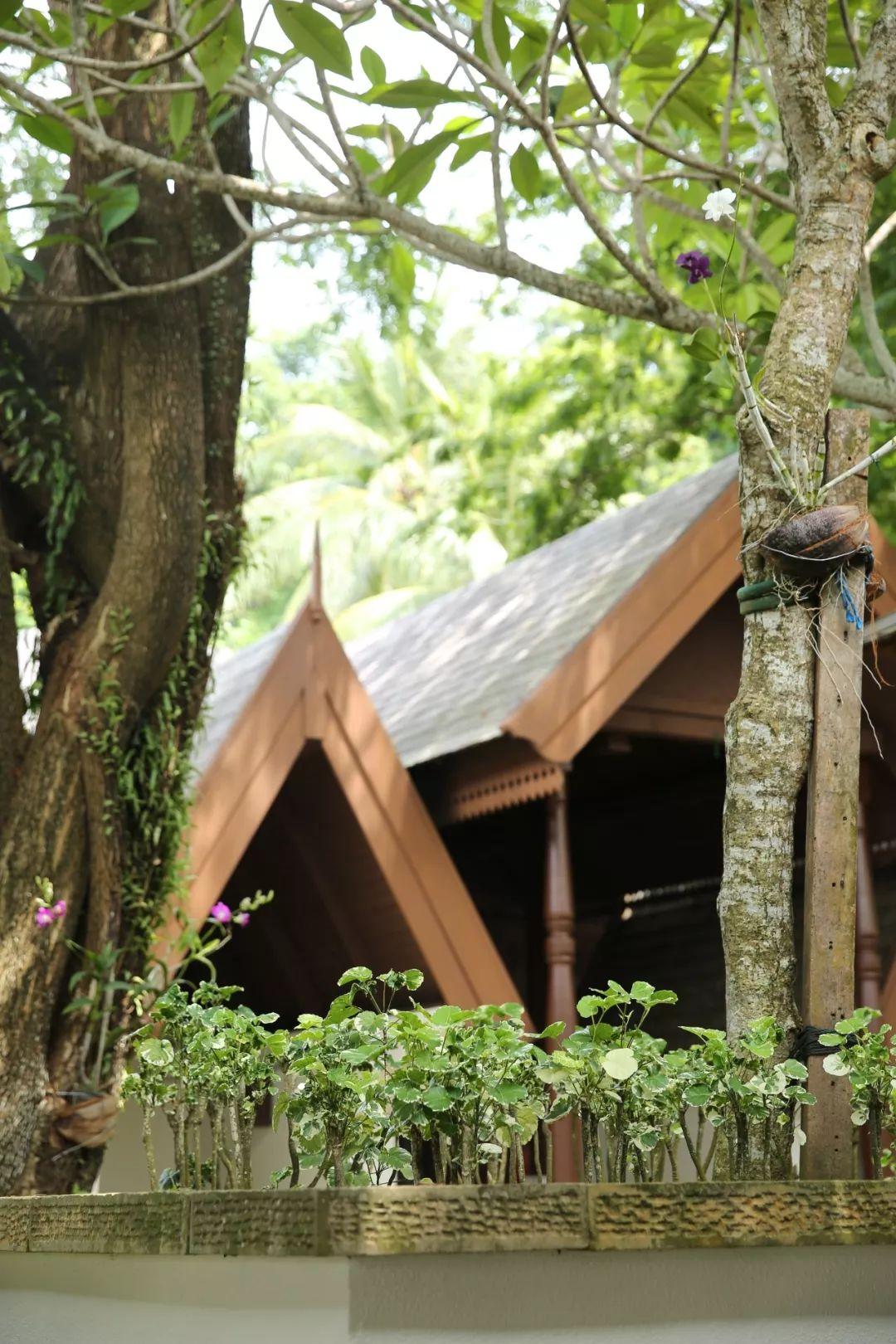 明星sl的溫馨日常，愛與陪伴的力量