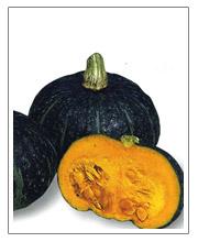 今年南瓜行情分析，市場現(xiàn)狀與前景展望