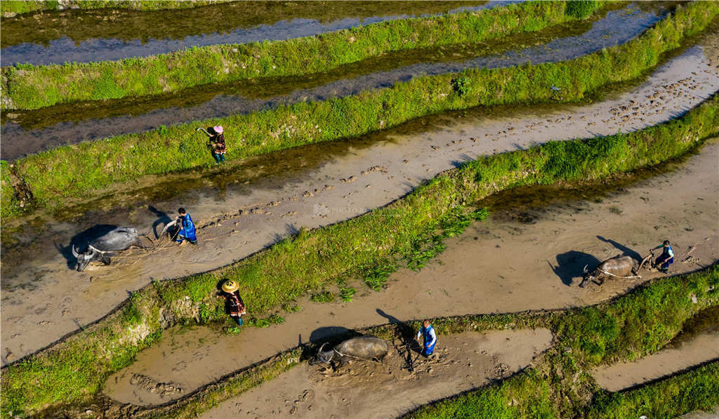 機械零部件 第195頁