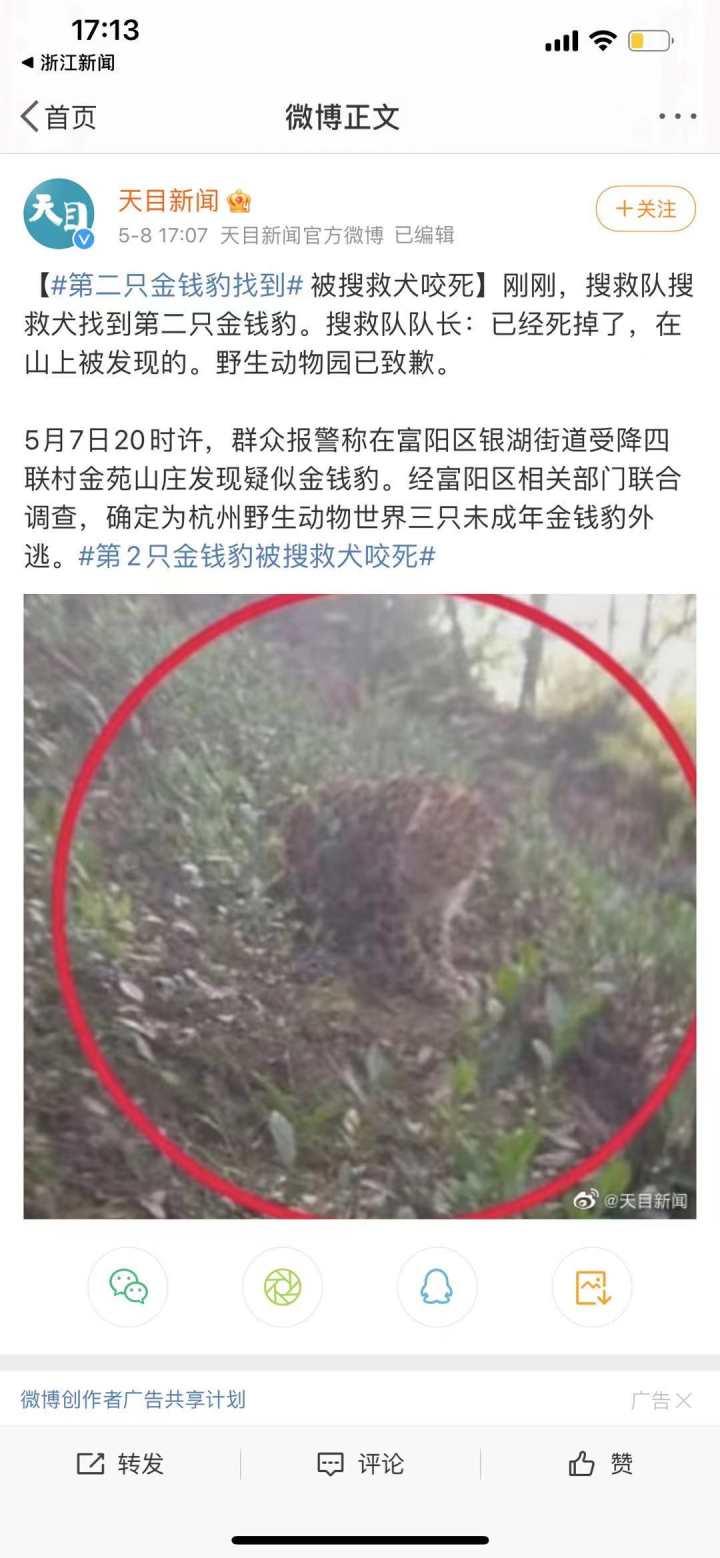 承德新聞快訊，多元視角下的觀察與解讀今日更新