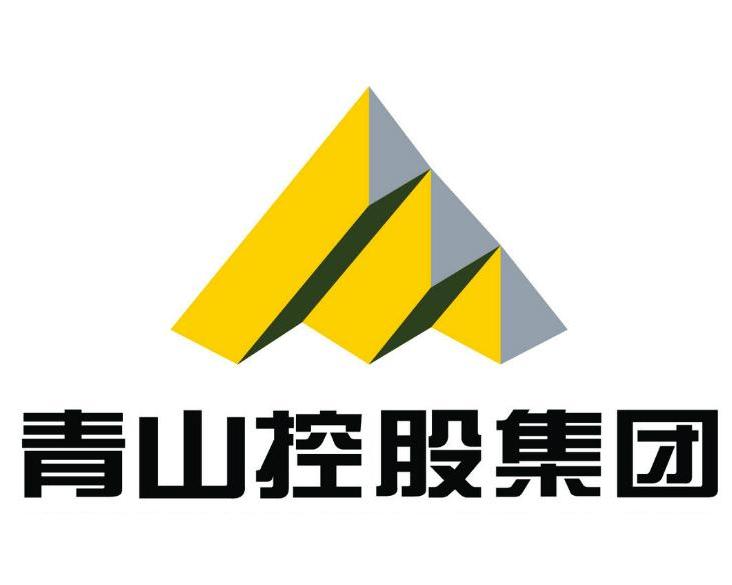 青山控股是否上市？解析其上市計(jì)劃與現(xiàn)狀