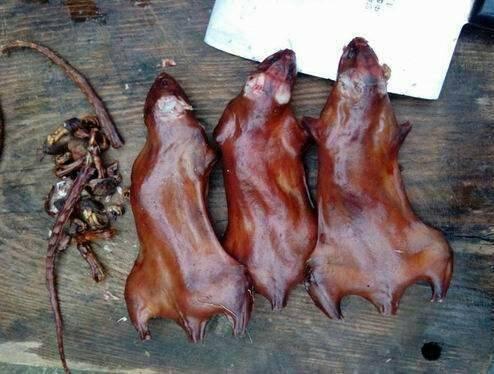 湛江田鼠收購信息與實現(xiàn)夢想，學(xué)習(xí)變化，自信助力前行