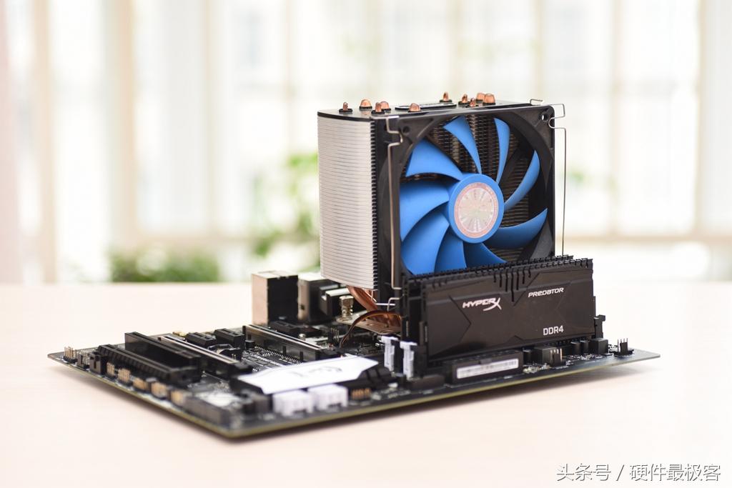 銀環(huán)蛇的價格，蛻變之路的自信與成就感展現(xiàn)