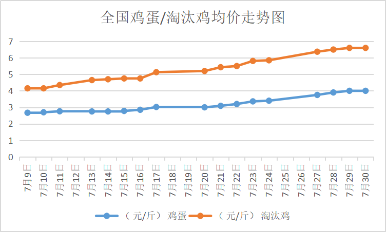 北京大洋路雞蛋今日行情，探尋內心平靜的雞蛋之旅