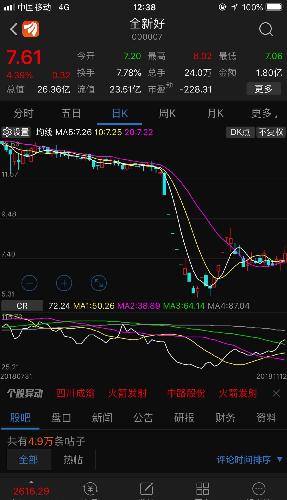 000007股票,揭秘000007股票，投資潛力與風(fēng)險并存