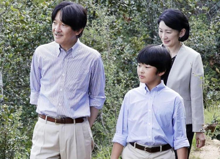 妯娌之間電視劇全集,妯娌之間，電視劇的全集解析與深度回顧