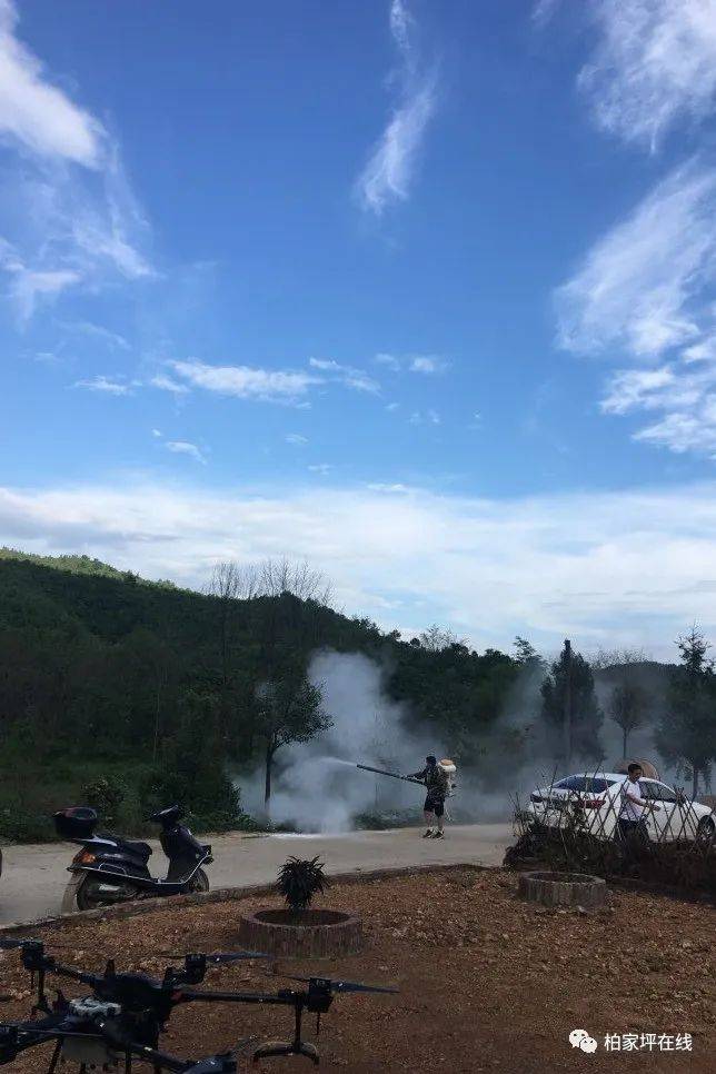 最新蝗蟲(chóng)災(zāi)害動(dòng)態(tài),最新蝗蟲(chóng)災(zāi)害動(dòng)態(tài)，應(yīng)對(duì)與防治的詳細(xì)步驟指南