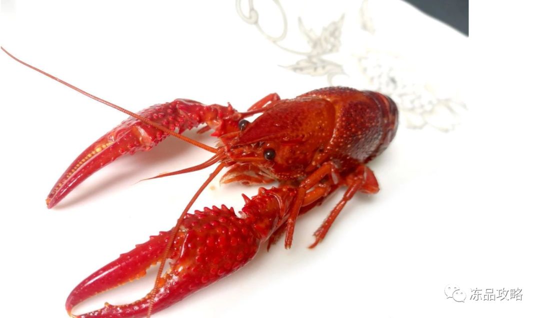 龍蝦價格變遷，時代印記與特定影響因素的探究