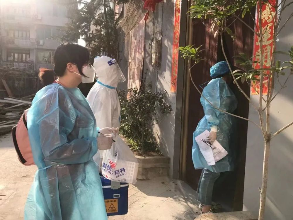 福鼎最新疫情動態(tài),福鼎最新疫情動態(tài)，觀點(diǎn)闡述與分析