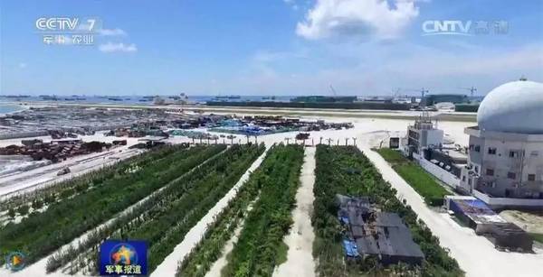 南沙島礁建設(shè)最新進(jìn)展揭秘，南沙建設(shè)進(jìn)展圖片探秘與小巷深處的神秘寶藏