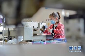 泉州市包袋廠招聘信息揭秘，小巷中的獨特工廠探秘之旅