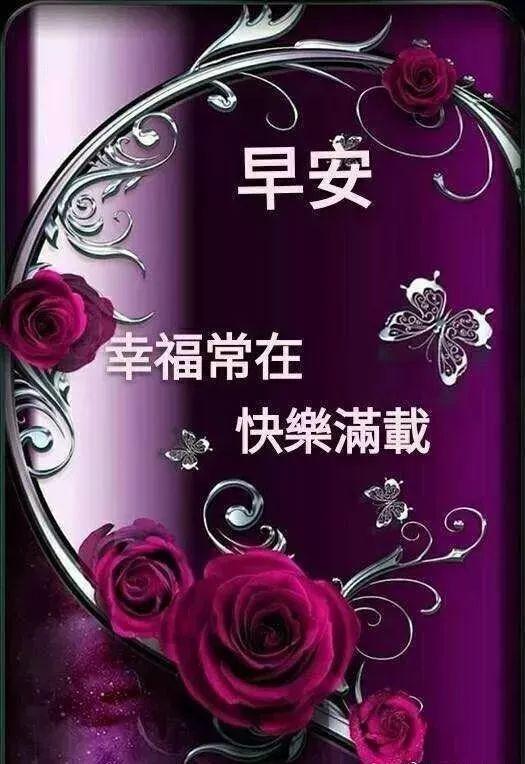 微信電腦版更新指南，詳細(xì)步驟教程