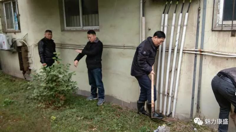 草社區(qū)最新動態(tài)，友情綠意下的愛與陪伴的種子生根發(fā)芽