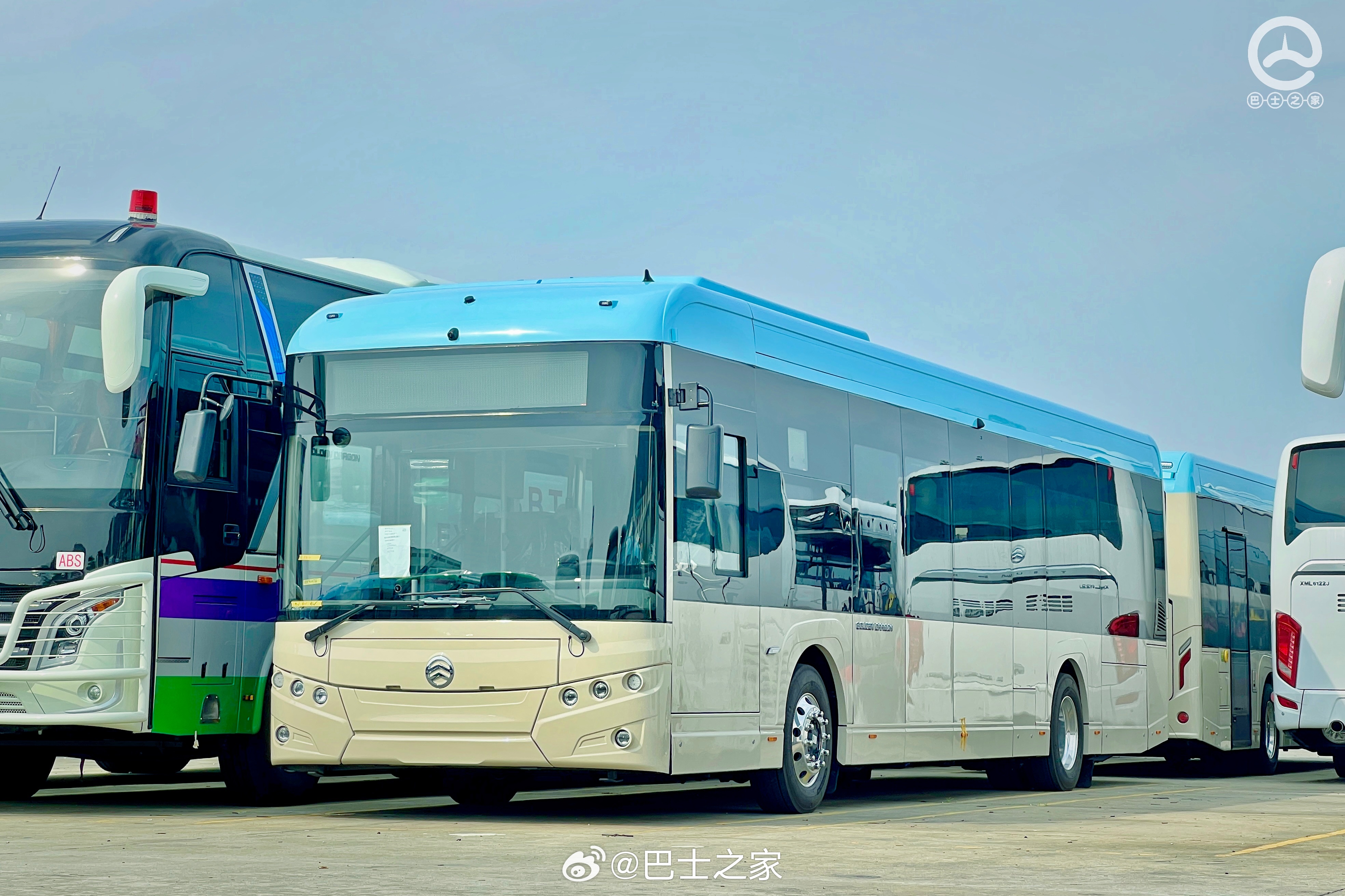 最新海豐車型推薦，精選多款熱門車型任你選！