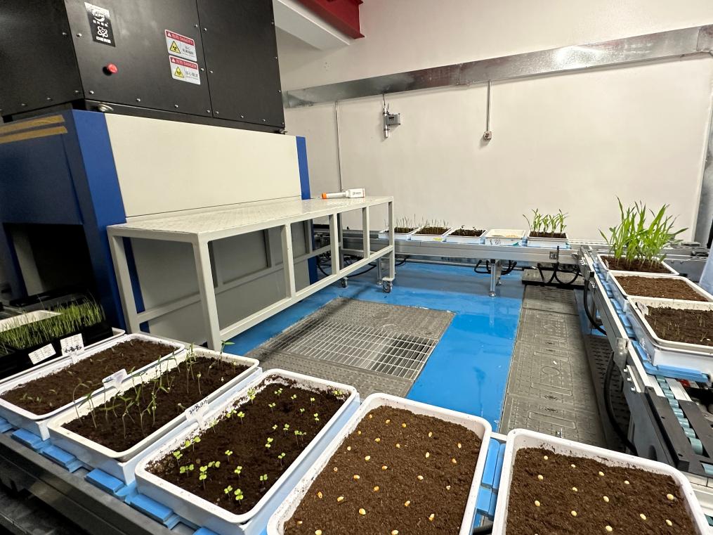 喬元利最新動態(tài)，成長軌跡揭秘與未來展望