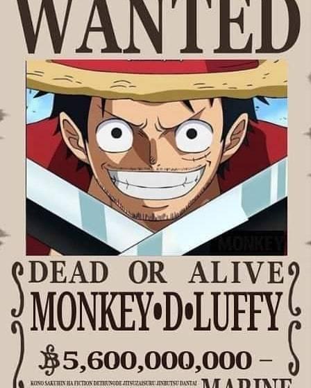 草帽團(tuán)最新懸賞任務(wù)，海洋之謎與友情之溫暖探索之旅