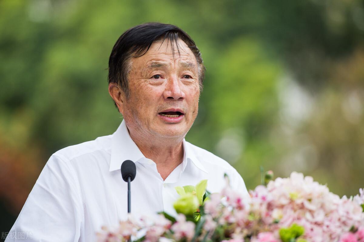 芯片的奇妙股市之旅，探索芯片之家的股票版圖