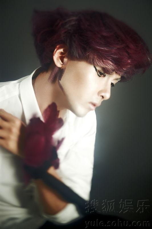 SJ明星揭秘，探索自然美景之旅，尋找內(nèi)心的平靜與喜悅之旅