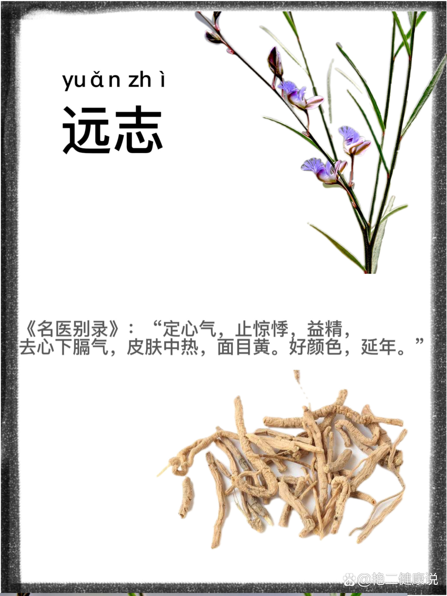 遠(yuǎn)志名最新講道視頻,遠(yuǎn)志名最新講道視頻，探索信仰的深邃世界