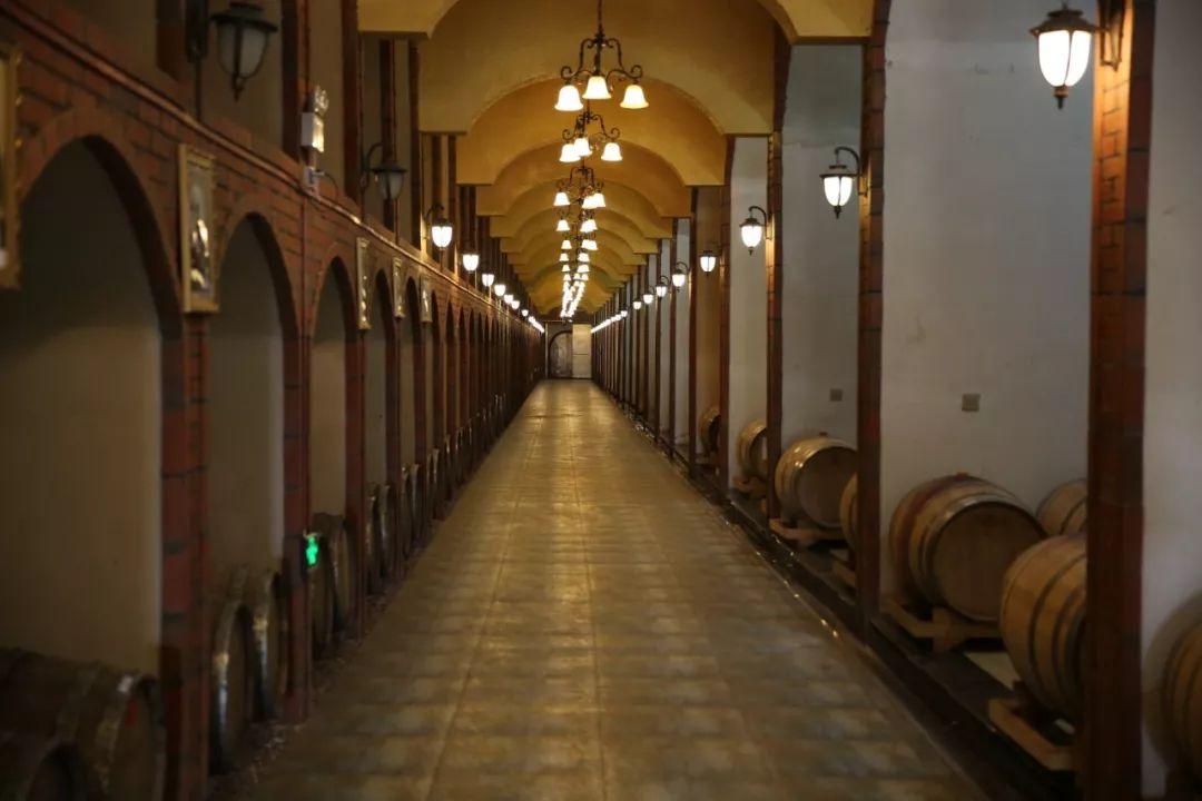 蘇州信匯達最新動態(tài)，友情的紐帶與溫馨的陪伴