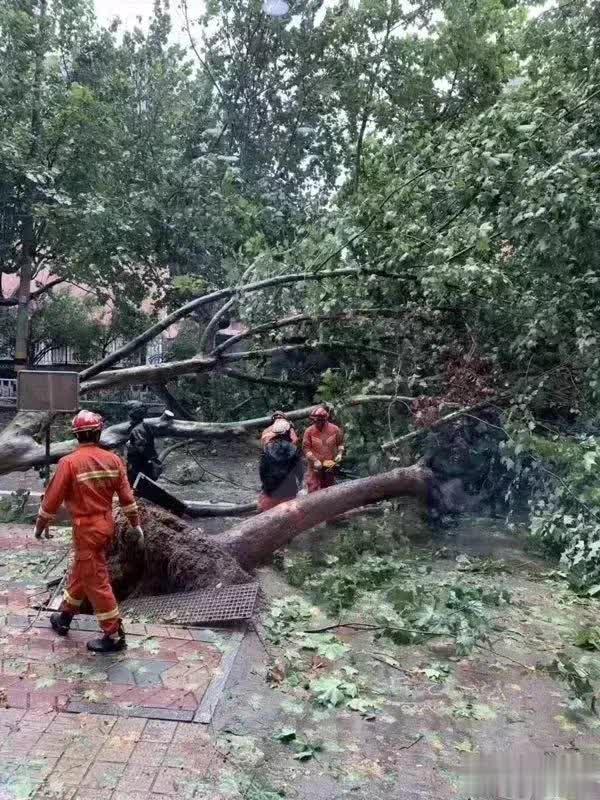 臺風路徑實時發(fā)布系統(tǒng)2019最新與小巷神秘特色小店的獨特魅力