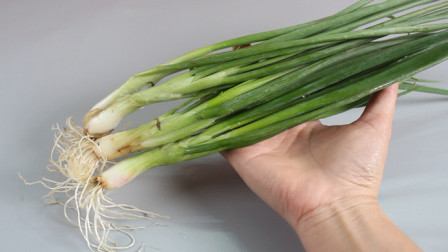 隆化新鮮資訊,隆化新鮮資訊，高科技產(chǎn)品引領(lǐng)未來，體驗(yàn)前所未有的智能生活