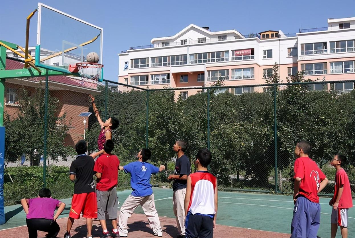 高考最新動(dòng)態(tài),高考最新動(dòng)態(tài)，一場(chǎng)心靈與自然的奇妙旅行