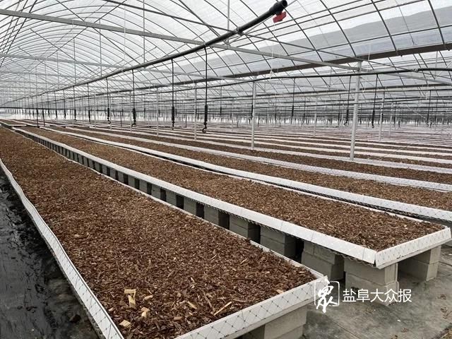 2024今晚開(kāi)的四不像生肖圖,全身心數(shù)據(jù)指導(dǎo)枕_創(chuàng)意版6.190