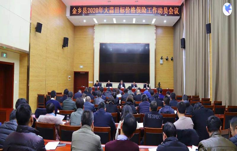 金鄉(xiāng)大蒜今日最新價(jià)格及市場走勢與產(chǎn)業(yè)洞察分析