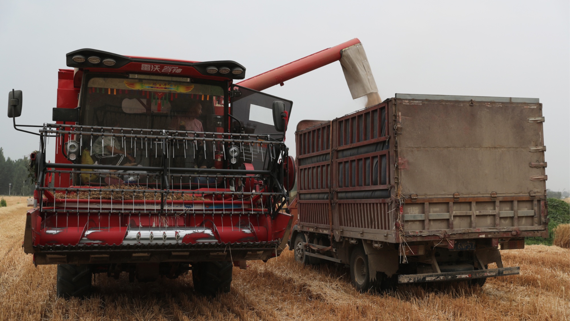 2025年澳門全年免費大全,農(nóng)業(yè)機械化與電氣化_旗艦設備版39.429