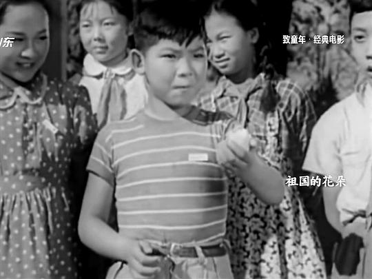 祖國(guó)的花朵電影，深度探討影響與啟示