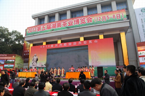 陳社強(qiáng)最新動(dòng)態(tài)揭秘，最新進(jìn)展與活動(dòng)報(bào)道??