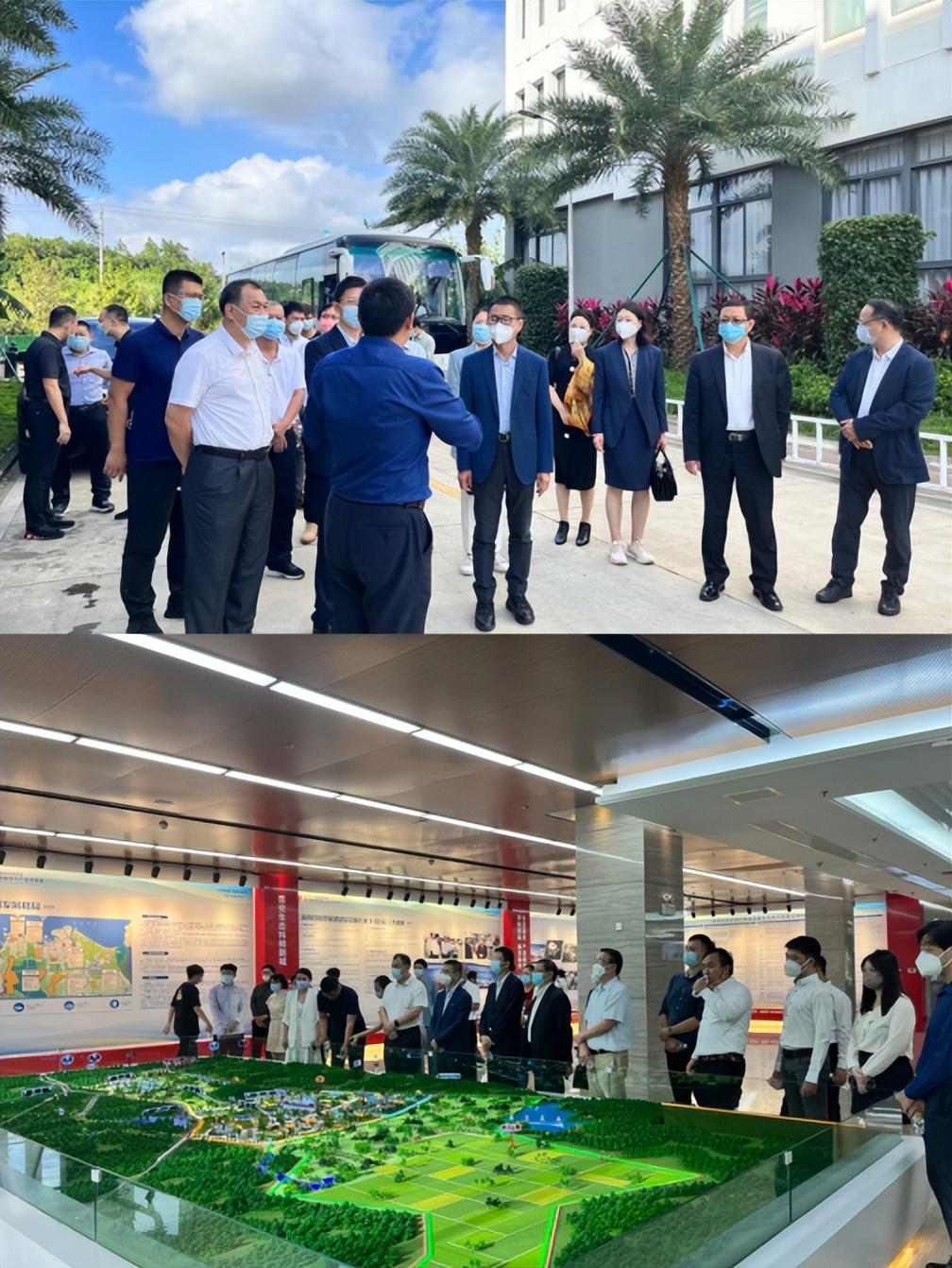 今晚澳門9點(diǎn)35分開什么,實(shí)地觀察數(shù)據(jù)設(shè)計(jì)_溫馨版30.339