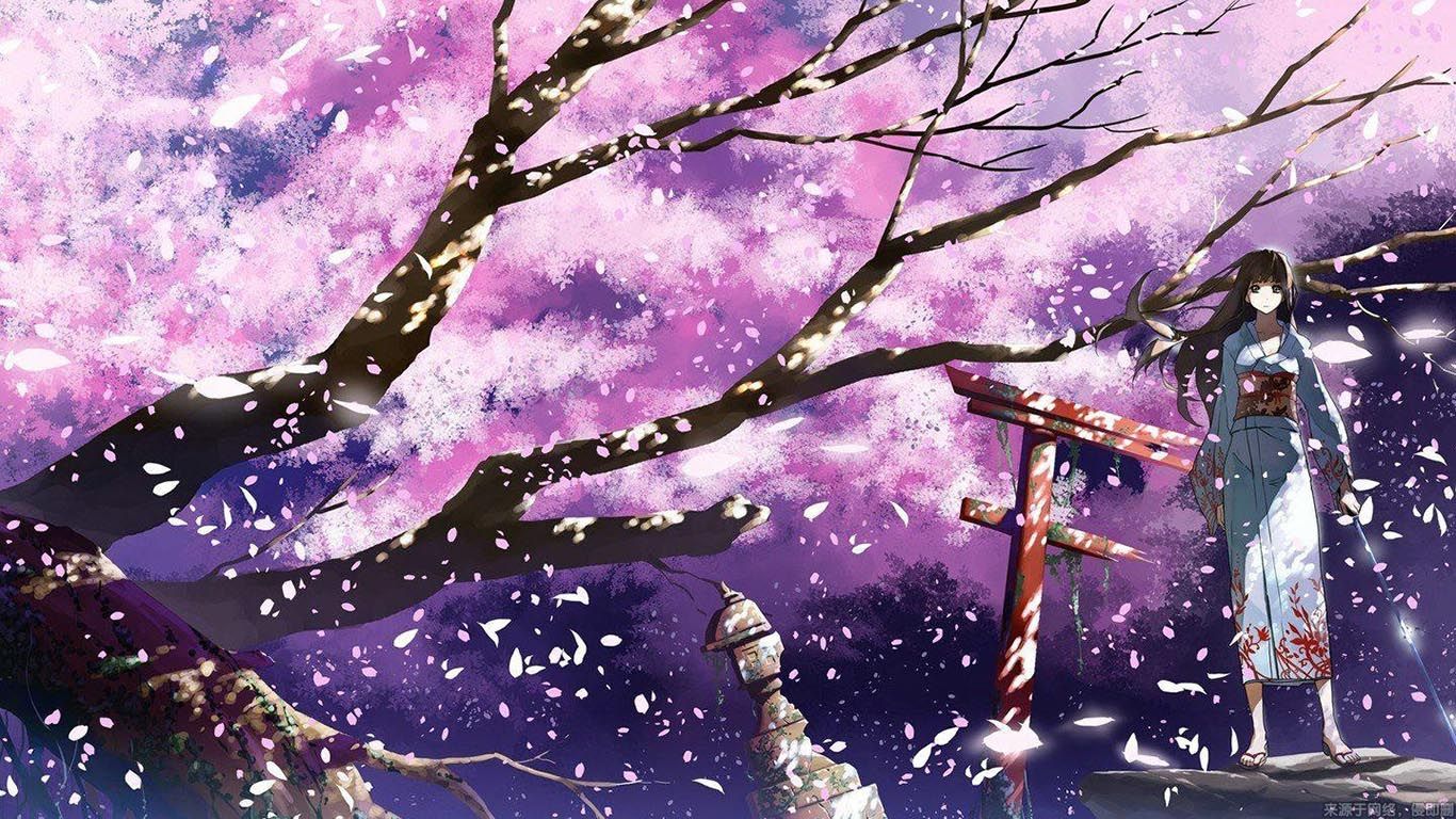 櫻花動漫電腦，值得關(guān)注還是過客？品牌深度解析