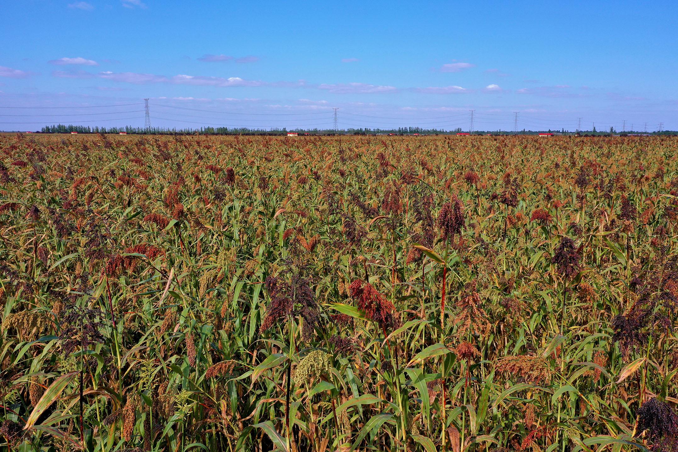 電視劇與自然美景之旅，探尋內(nèi)心的平和與喜悅之旅