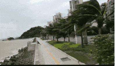 珠海臺風最新動態(tài)，風雨中的勵志故事