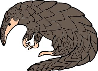 揭秘最新病毒資訊，你必須了解的事！