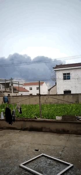 灌南最新動態(tài)，自然美景探索之旅的治愈力量