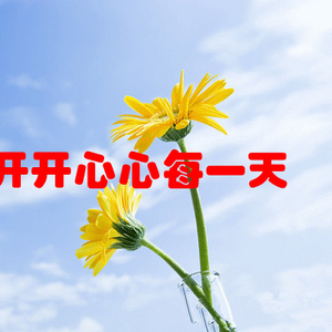 “最新貓咪動態(tài)”,最新貓咪動態(tài)，小巷深處的貓步輕揚(yáng)特色小店