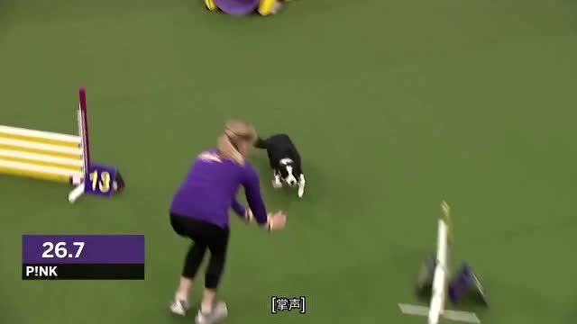 敏捷比賽全攻略，從入門到精通的競賽指南