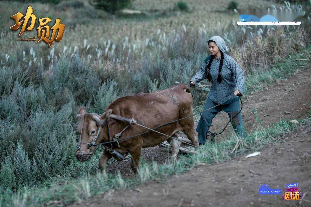 申紀(jì)蘭演員表制作指南，從初學(xué)者到進(jìn)階用戶的步驟參考