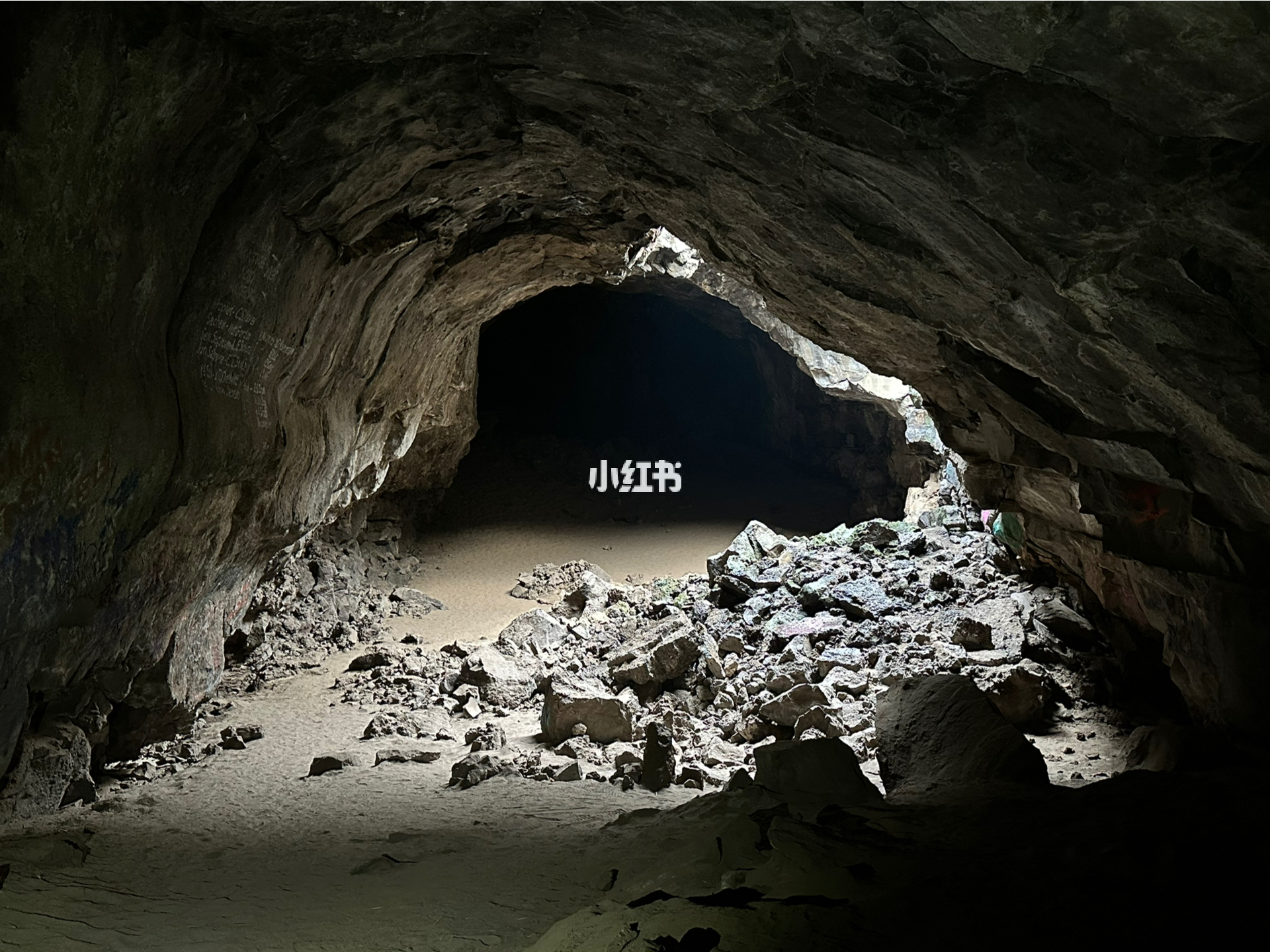 洞明星，光環(huán)下的反思與深度洞察