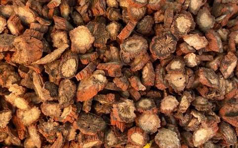 丹參行情深度解析，市場走勢與多方觀點探析