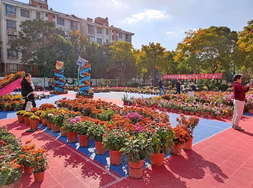 電影滿城盡是黃金甲,電影滿城盡是黃金甲，權(quán)力與欲望的交織