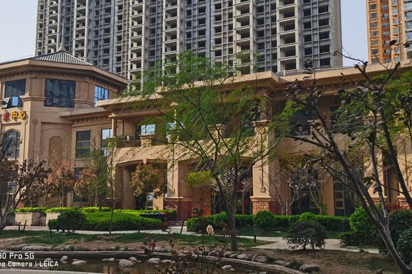 安陽帕提歐，巷深美食秘境，最新資訊盡在其中！