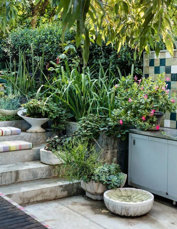 妙手回春再現(xiàn)輝煌，傳統(tǒng)醫(yī)術(shù)的再生與最新進(jìn)展