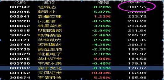 股票換手率與心靈之旅，探尋自然美景的奇妙歷程